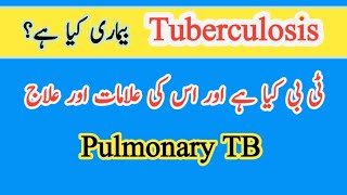 What is Tuberculosis in UrduHindi Symptoms amp Treatment of TB [upl. by Rybma611]