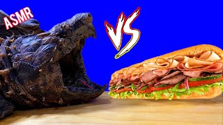 ALLIGATOR SNAPPING TURTLE VS SUBWAY 🐢 TORTOISE ASMR Animal [upl. by Saddler]