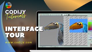 CODIJY Colorizer Pro Tour  Interface [upl. by Cusack338]