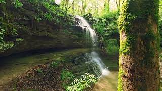 TN WATERFALLS  Stillhouse Hollow Falls 2 waterfall tour [upl. by Damek940]