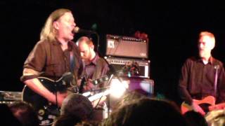 Swans live in Washington DC 2014 [upl. by Nehgem]