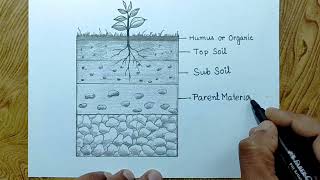 How to draw Layers of soil diagram easilyLayers of soil diagram drawing [upl. by Saraiya]