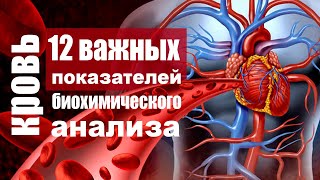 Биохимический анализ крови  расшифровка показателей которые должны знать все [upl. by Anawad]