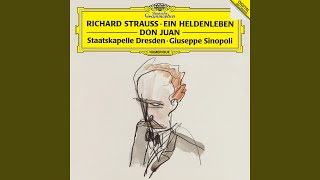 R Strauss Ein Heldenleben Op 40 Des Helden Weltflucht und Vollendung [upl. by Nawram]