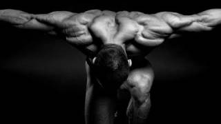 Advanced Home Triceps Workout Get Huge Arms Fast [upl. by Innaig]