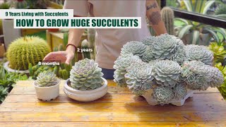 HOW TO GROW HUGE SUCCULENTS  From Beginner to Master  9 Years Living with Succulents [upl. by Song]