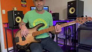 Sht Damn Motherfcker  DAngelo Fretless bass cover [upl. by Hceicjow]