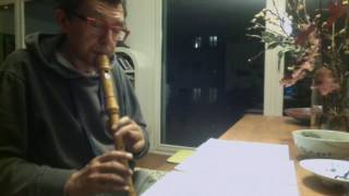 J S Bach Toccata in C BWV 564 for alto recorder [upl. by Ahcmis]