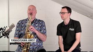 Yanagisawa AWO1 Alto Sax Review [upl. by Jocelyne]