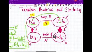 Transition matrices and similarity [upl. by Leroi]