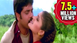 Ravoyi Chandamama Movie  Swapnavenuvedo Video Song  Nagarjuna AkkineniAnjala Zhaveri [upl. by Bari289]