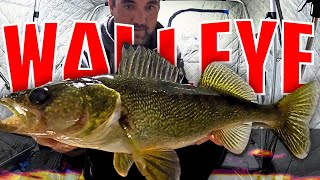 ice fishing for walleye  Learn This Rig [upl. by Grover]