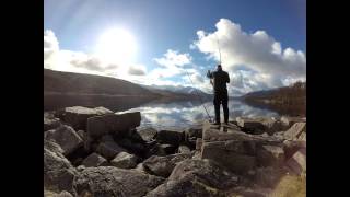 Loch Etive  Spurdogs from the shore [upl. by Valerian]