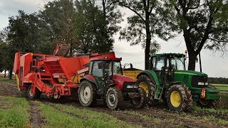 Kopanie Ziemniaków 2018  Grimme I Case I John Deere [upl. by Billen]