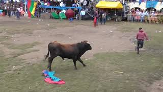 🔥CORRIDA DE TORO BRAVO 🔥 EMBISTE A TODO EL PUBLICO [upl. by Melvena]