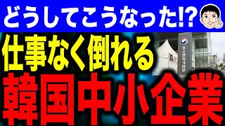 【ゾンビ🧟企業は倒産しなさい】韓国中小企業の危機！？工場以外は存在価値無し…内需不振に泣く厳しい現状！ [upl. by Loos936]