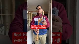 Human Real Hip Bone  Hip Joint इंसान के कूल्हे की असली हड्डी कैसी होती है viral trending shorts [upl. by Odracir]