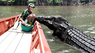 Most Emotional Animal Reunions With Owners After Years [upl. by Potts]