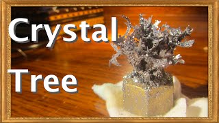 How to Grow A Lead Crystal Tree Old Alchemy Demonstration [upl. by Gerstein]