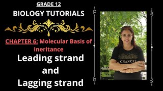 Leading strand and Lagging strand I Molecular Basis of Inheritance I Chapter 6 I Class 12 [upl. by Nnayllek7]