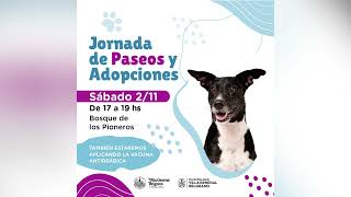 INFO JORNADA DE ADOPCIONES [upl. by Disario701]