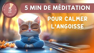 Méditation Express pour apaiser langoisse et lanxiété [upl. by Latin]