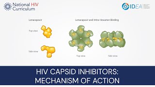 MiniLecture Series HIV Capsid Inhibitors Mechanism of Action [upl. by Ocihc]