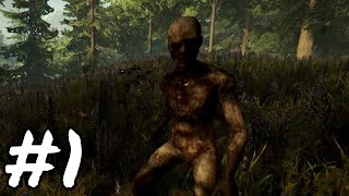 quotCannibal Camps Everywherequot  The Forest Survival Lets Play Part 1  No Commentary [upl. by Alleras]