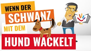 Ist Software wirklich nur so gut wie der Nutzer [upl. by Kcirej954]