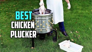 Best Chicken Pluckers in 2023  Top 6 Chicken Pluckers Review [upl. by Jacie]