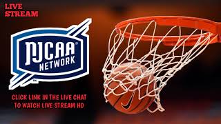 Clark State College vs Cedarville JV  2024 NJCAA Mens Baketball Live [upl. by Campos]