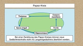 Modul 5 Lektion 244 Anatomie das Myelon PNS Papez Kreis und limbisches System [upl. by Neruat]