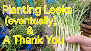 Planting Out Leeks amp A Thank You Daves Allotment Garden July 2024 [upl. by Renado]