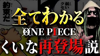 ゾロがくいなと再会する根拠【ワンピース ネタバレ】 [upl. by Artim]