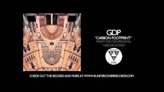 GDP  Carbon Footprint Official Audio [upl. by Un]