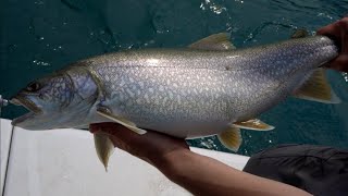 Kananaskis Mountain Lake Trout Fishing [upl. by Beulah193]