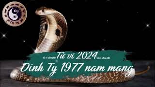 Tử vi tuổi Đinh Tỵ 1977 nam mạng năm 2024 [upl. by Patricia530]