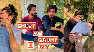 Ghory or khoty ki larai😂🤣teamusman750 most funny video [upl. by Sou687]