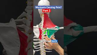 Part 2 of 2 Do workouts cause neck pain headaches or jaw pain neckpain headache tmj [upl. by Naugan591]