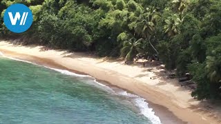 Tobago traveldocumentary from the season quotCaribbean Momentsquot [upl. by Eeclehc]