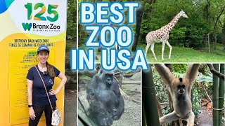 BEST ZOO IN UNITED STATES  Full Tour of Bronx Zoo  Things to do in NYC  Best Zoo in NYC [upl. by Ashley147]