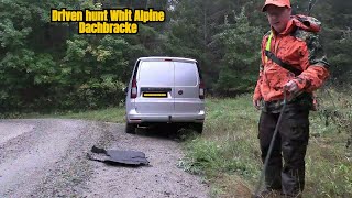 This Alpine Dachsbracke Dog is a Hunting PRO alpenländische dachsbracke [upl. by Hyacinthie]