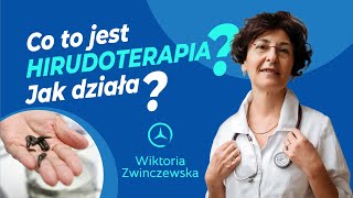 Co to jest Hirudoterapia i jak działa Na co pomaga Pijawka Lekarska [upl. by Hanahsuar]