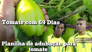 tomate com 69 Dias ZAP 87 999249487 [upl. by Ayatahs]