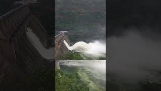 Srisailam dam gates🌊🏔️srisailam wiral youtubeshorts travel water dam [upl. by Westland719]