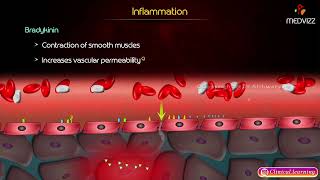 Kinin Pathway Inflammation Cells of Chronic Inflammation [upl. by Gnilrits]