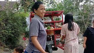 VLOG SAYUR KELILING  Usaha Di Tahun Ini Benarbenar Menguji Kesabaran [upl. by Carpenter]