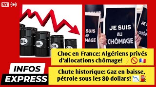 Choc en France Algériens privés dallocations chômage 🚫 🇫🇷  Gaz en baisse pétrole sous les 80 📉⛽ [upl. by Yentiw]