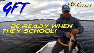 Schooling Fish 101 Tips and Techniques for Success on any Lake [upl. by Yrallih]