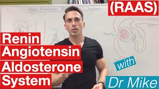 Renin Angiotensin Aldosterone system [upl. by Yllod]